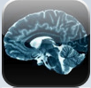 Brainwave app icon